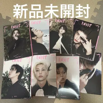 Straykids Doit 아코디언 미개봉 8장 세트