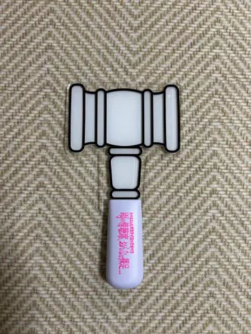 비의 방청석 응원봉