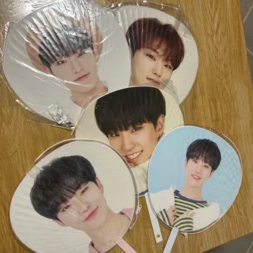 SEVENTEEN 호시 K-POP 아이돌 부채 5개 세트