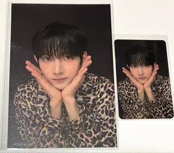 미사용 보이플래닛2 콜렉트북 주니엘 트레이딩 카드 포스카 세트