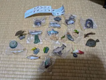 물고기 피규어 세트 28개입