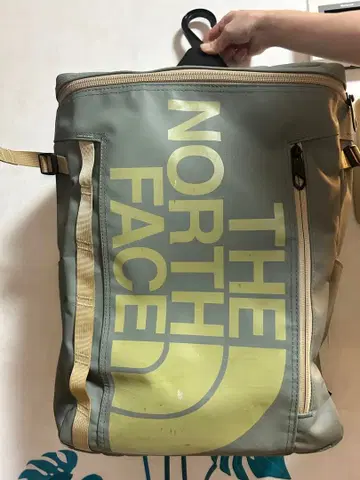 THE NORTH FACE 백팩 아가베 그린