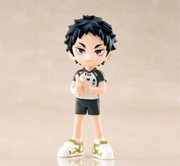 PalVerse 하이큐!! vol.2 아카아시 케이지