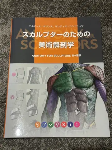 스컬프터를 위한 미술 해부학