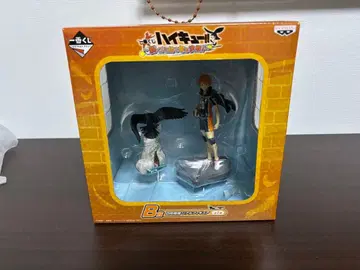 하이큐!! 제일복권 B상 히나타 쇼요