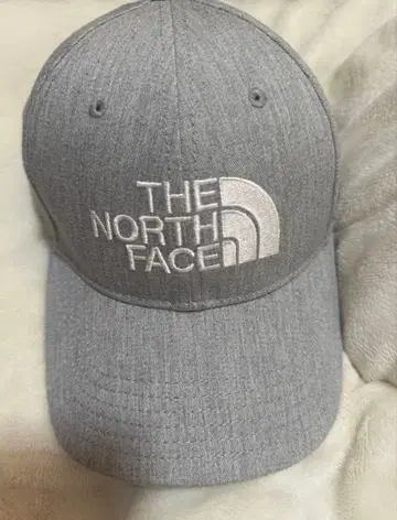 THE NORTH FACE 그레이 캡