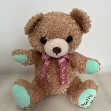 포에티 테디 BIG 봉제 인형 돌체