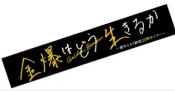 골든 폭격기 2024 머플러 타월 금폭은 어떻게 살 것인가