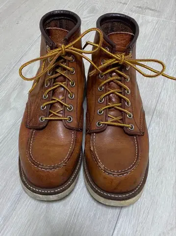REDWING 라이리시 세터 8875
