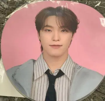 SEVENTEEN HOLIDAY 디노 부채 팬미