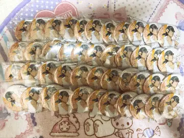 테니스의 왕자님 카이도 카오루 꽃 왕관 캔뱃지