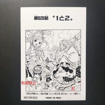 원피스 표지 일러스트 브로마이드 이벤트 한정판 시라호시 제828화