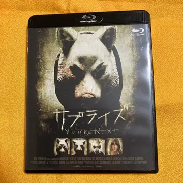 서프라이즈 블루레이 중고