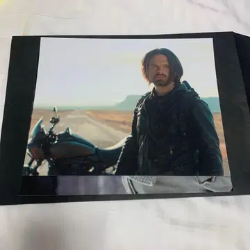 세바스티안 스탠 셀럽 사진 포트레이트