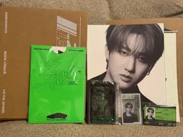 DICON 창빈 Changbin