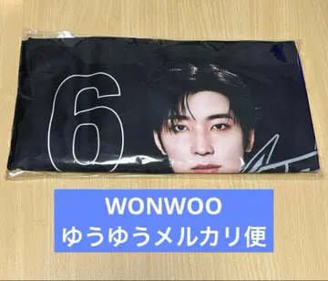 SEVENTEEN 미니 사진 담요 WONWOO