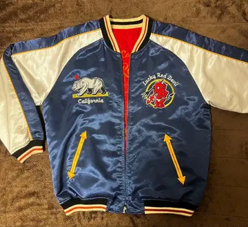 [레어] TEDMAN 테드맨 테드 컴퍼니 스카잔 리버서블 44