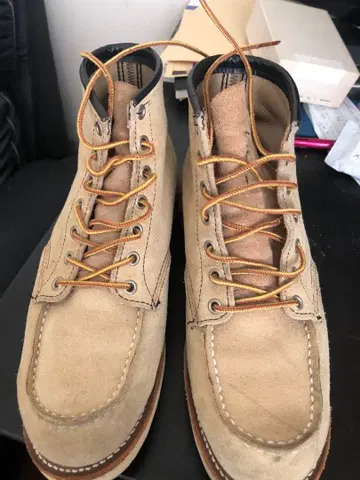 레드윙 아이리쉬 세터 8173 베이지 27.5cm