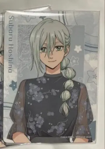 트레이딩 카드 blooming party 특전 호시나