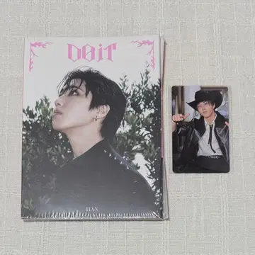 StrayKids 스키즈 Do it Accordion JYP 특전 한