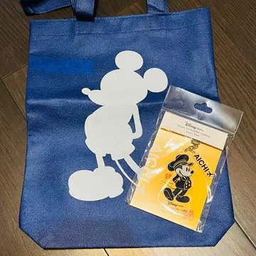 Disney FLAGSHIP TOKYO 아이치 한정판 키링