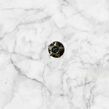 [레어] 텐더 로인 별 모양 핀 배지 파랑