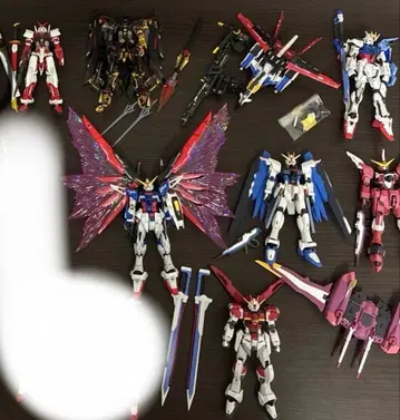 건담 프라모델 RG SEED 세트