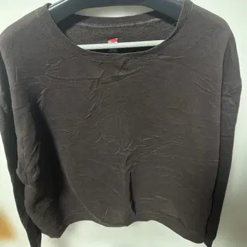 Hanes 브라운 롱 T