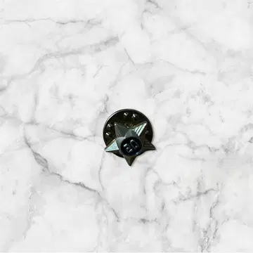 [ 레어 ] 텐더 로인 별 모양 핀 배지