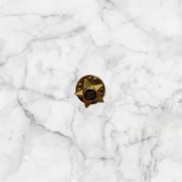 [ 레어 ] 텐더 로인 별 모양 핀 배지 블랙