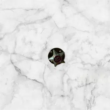 [레어] 텐더 로인 별 모양 핀 배지 빨간색