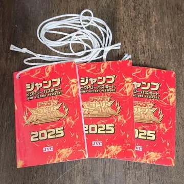 점프 페스타 2025 참여권 3장 세트 패스포트