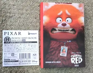 PIXAR TURNING RED 엽서북