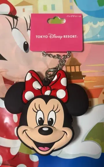 디즈니 리조트 미니 백참