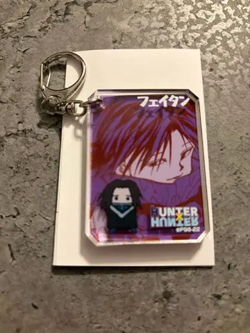 HUNTER x HUNTER 페이탄 시크 아크릴 키링 13