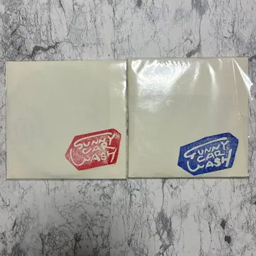 SUNNY CAR WASH 서니카 워시 CD