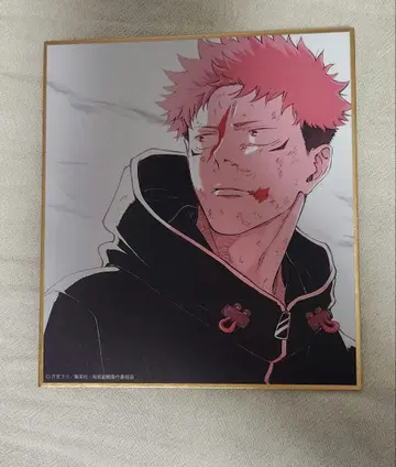 주술회전 시부야 사변 블라인드 미니 색지 이타도리 주술회전전