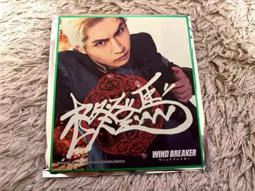 WIND BREAKER 히이라기 토마 나카자와 모토키 블라인드 미니 색지