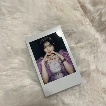 마나베 나기사 폴라로이드