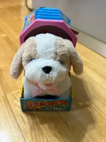 HACHI 강아지 봉제 인형 화이트와 브라운 박스 포함