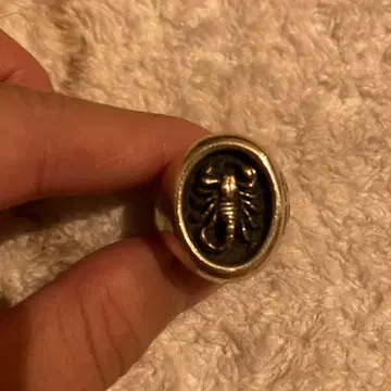 스콜피온 반지 실버 반지 19호