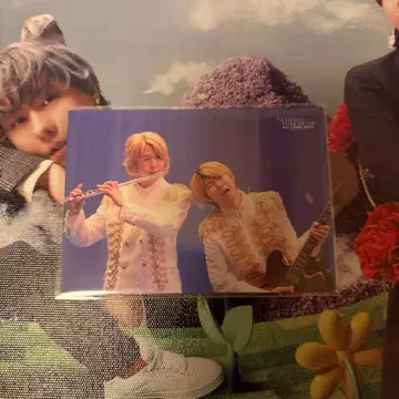 Mrs. GREEN APPLE 노아의 방주 포토 카드 043