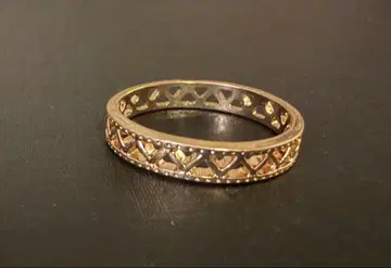 아쉬페프랑스 시스루 디자인 골드 컬러링 18.5호