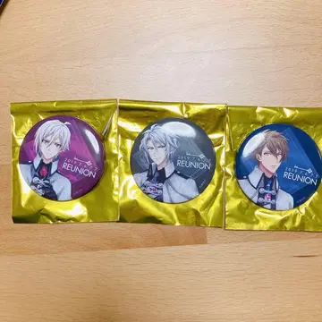 아이나나 리유니온 reunion 캔뱃지 트리거