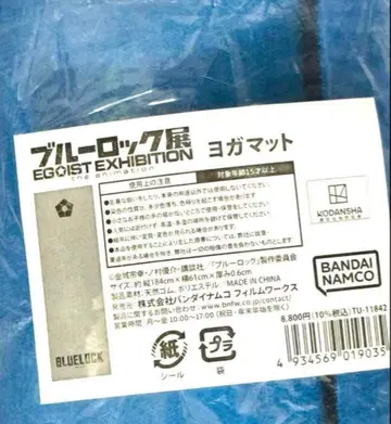 블루 록 전 요가 매트