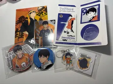 하이큐 카게야마 토비오 묶음 판매 (낱개 판매도 가능)