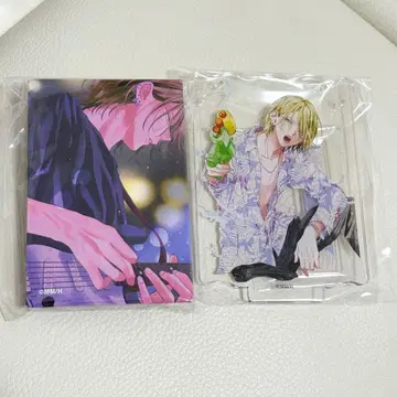 봄의 폭풍과 몬스터 길고양이와 늑대 만복가챠