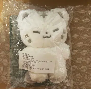 세븐틴 세부치  호시 seventeen 마스터 인형 호치 호찌