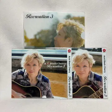 Acid Black Cherry Recreation 3 슬리브 파일