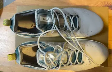 바이오 C4 남성용 방수 레이스업 골프화